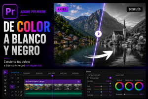 Lee más sobre el artículo [Adobe Premiere] Pasar de color a B/N